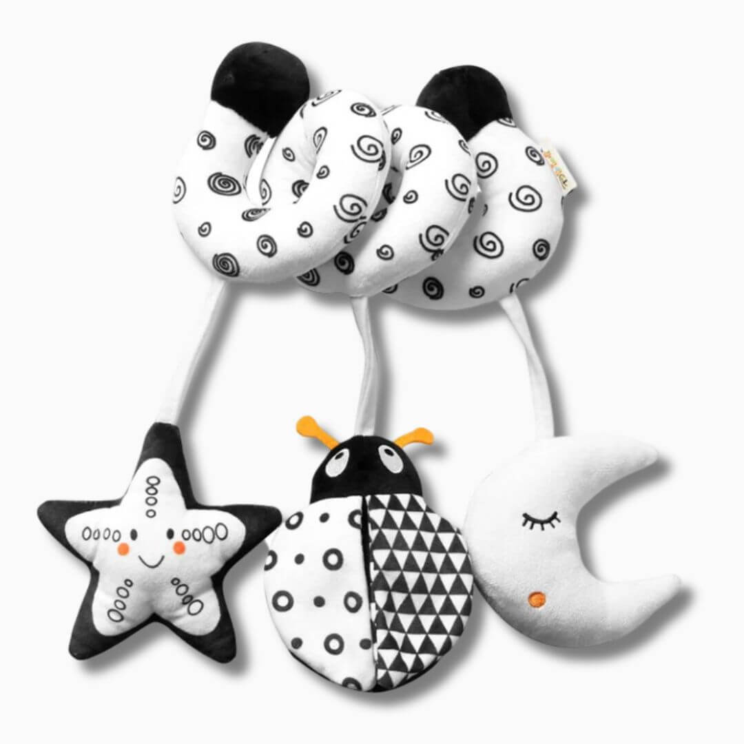 Hochet-bébé-noir-et-blanc-contrastants-coccinelle