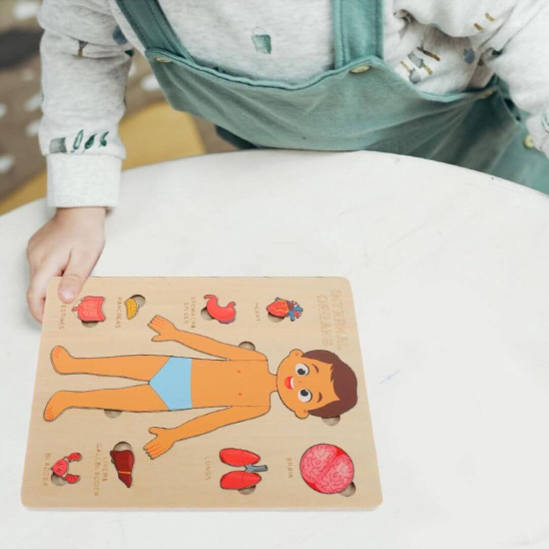 Le Puzzle bois éducatif pour la découverte de l'anatomie humaine