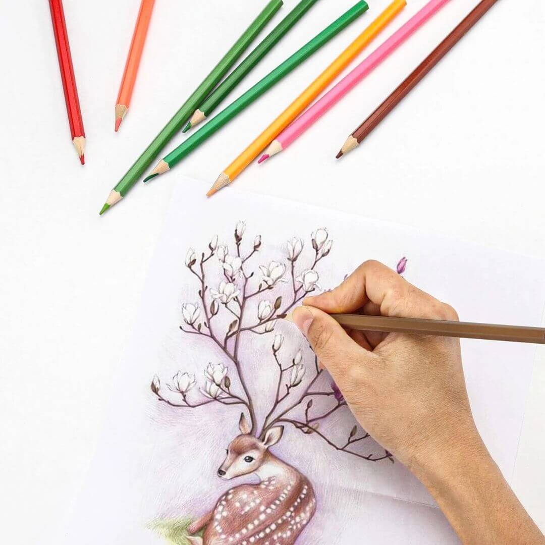 Crayons de couleur aquarelle | AquaColor™ – Boîte de 48 Teintes