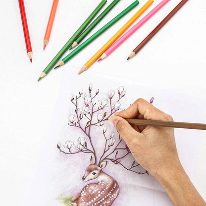 Crayons de couleur aquarelle | AquaColor™ – Boîte de 48 Teintes